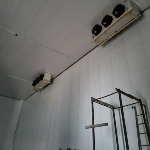 1717309516630.webp
