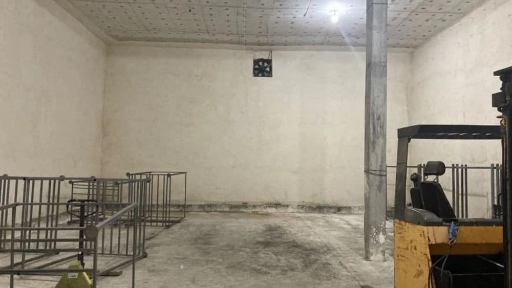 سردخانه کیوی  سلمانشهر