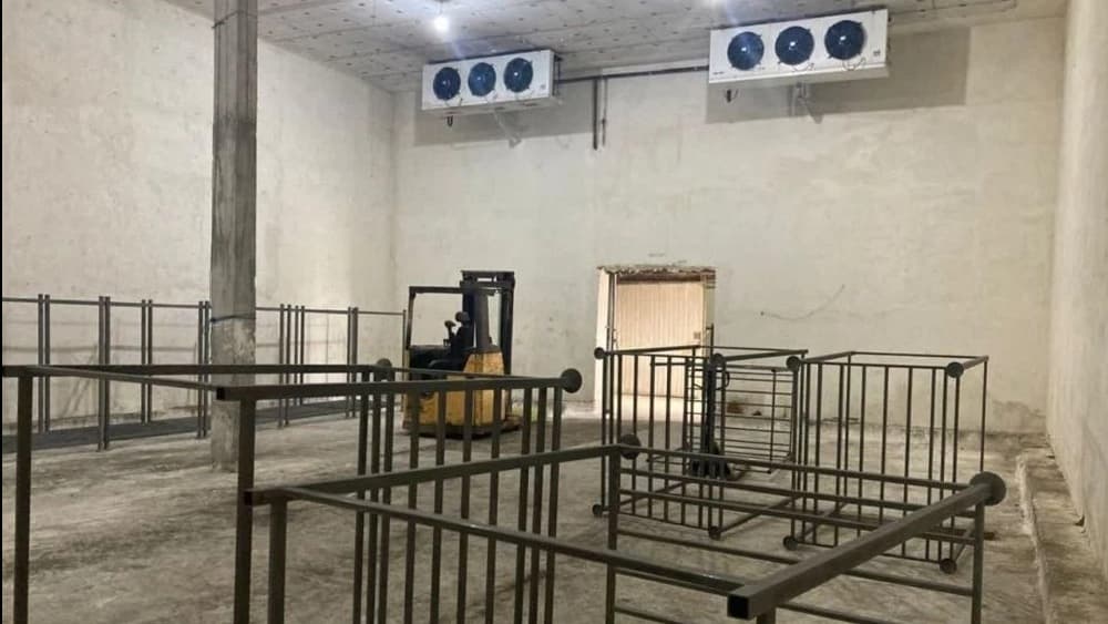سردخانه کیوی