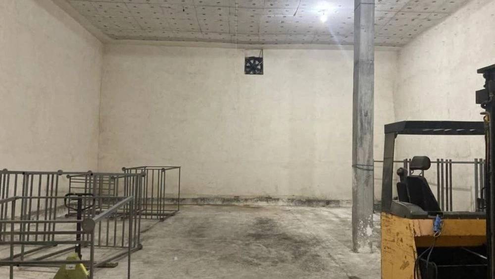 سردخانه کیوی سلمانشهر سردخانه کیوی سلمانشهر