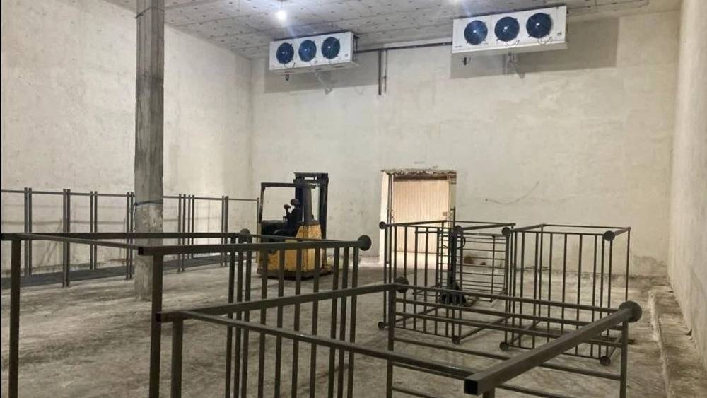 سردخانه کیوی سردخانه کیوی